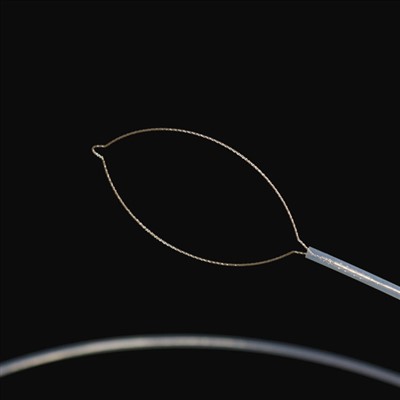 Jaw Tjee Lits'enyehelo tsa 'Mele tsa Kantle ho Naha