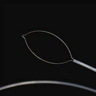 Jaw Tjee Lits'enyehelo tsa 'Mele tsa Kantle ho Naha